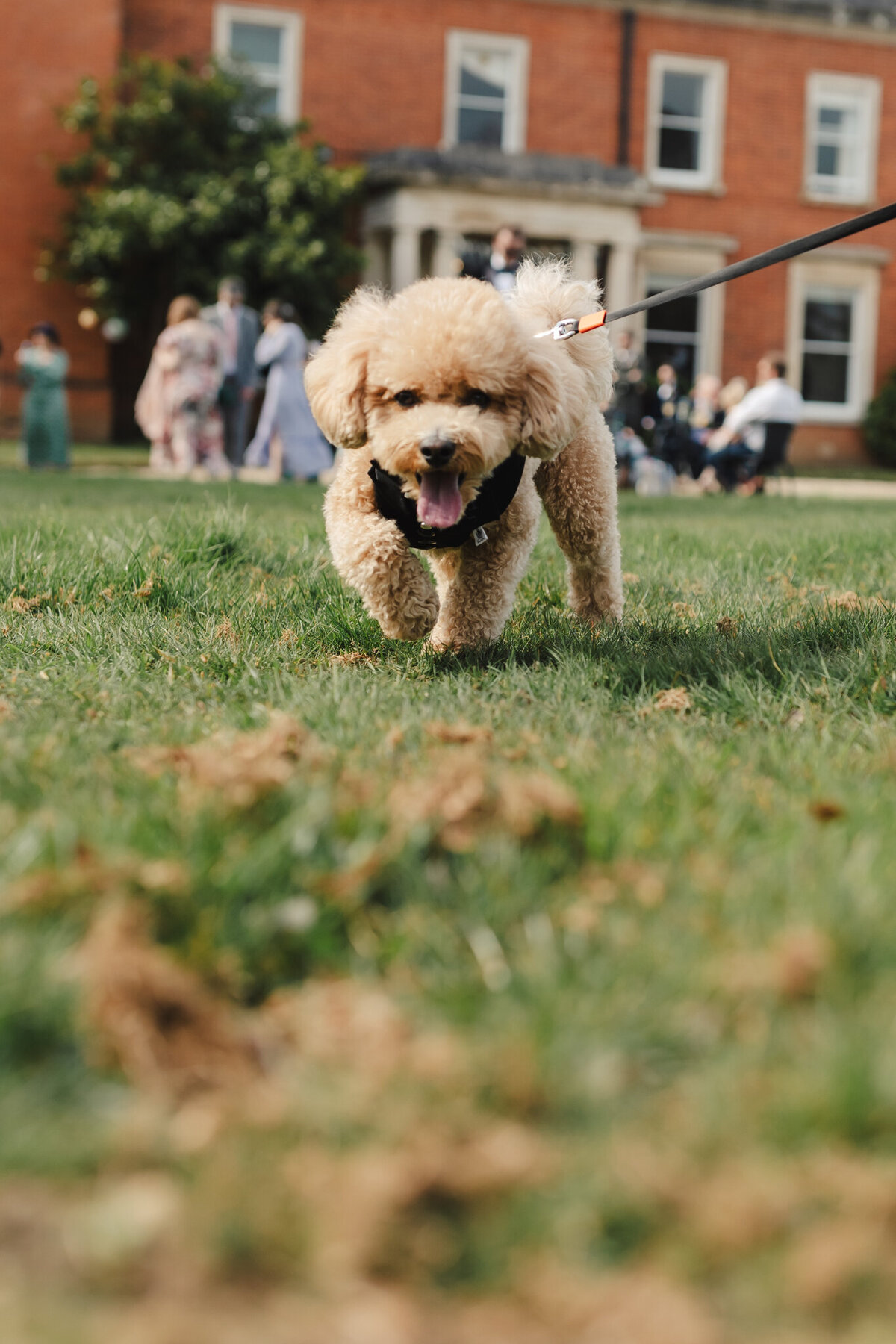 250412_mount_ephraim_gardens_HandM-22