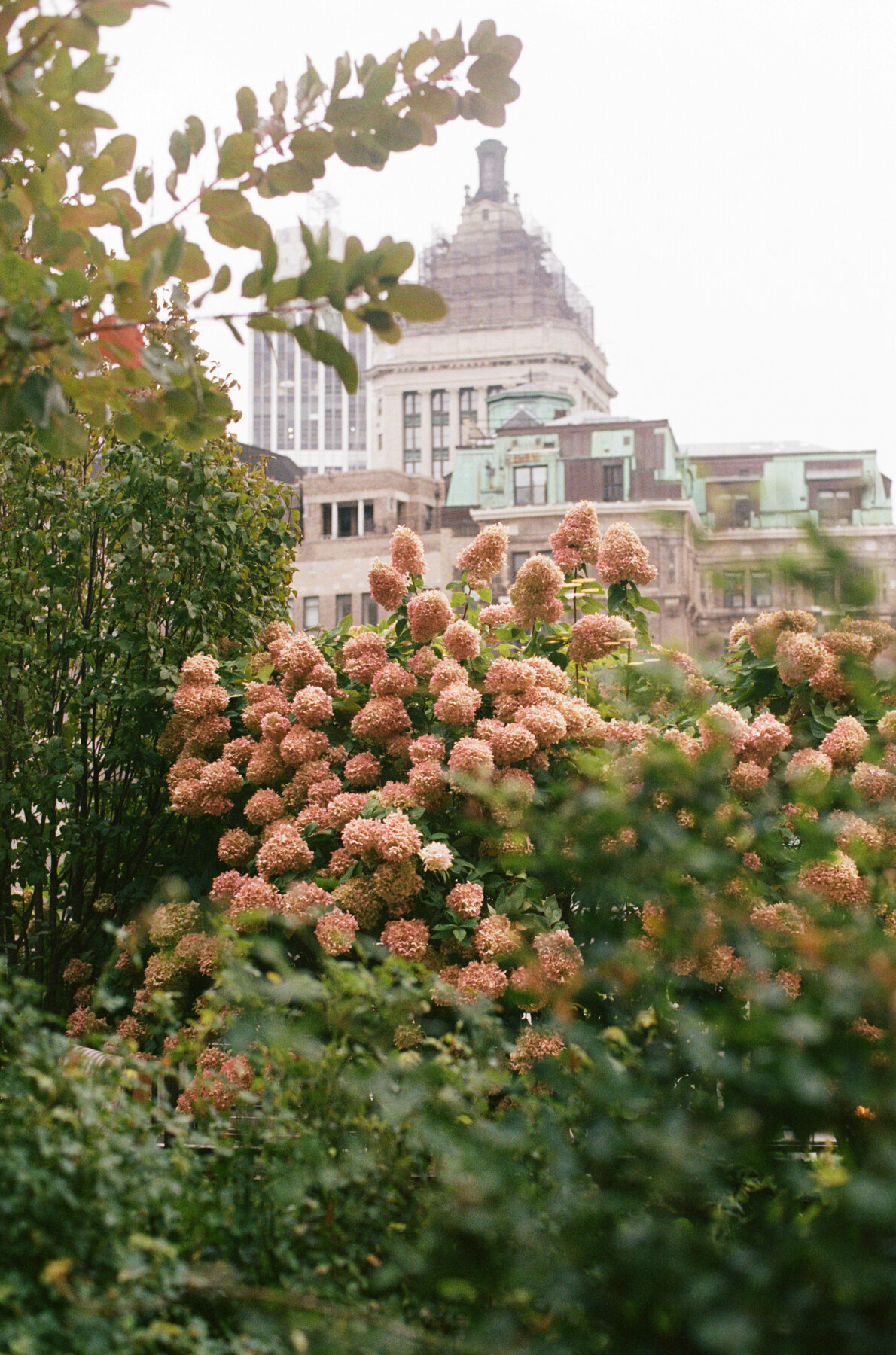 New York Wedding Photographer (6 of 200)