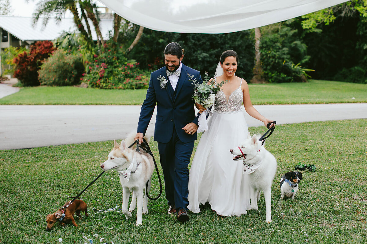 Florida-Bride-and-Groom-with-Dogs