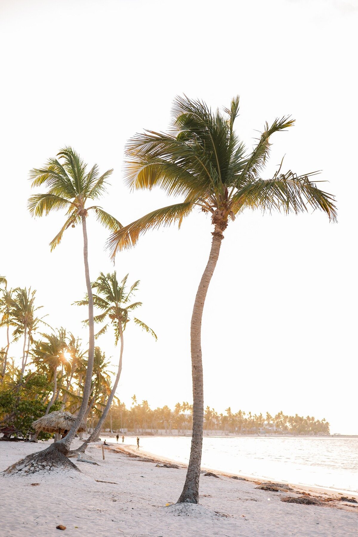 dominican-republic-destination-wedding-virtuous-weddings-events-213