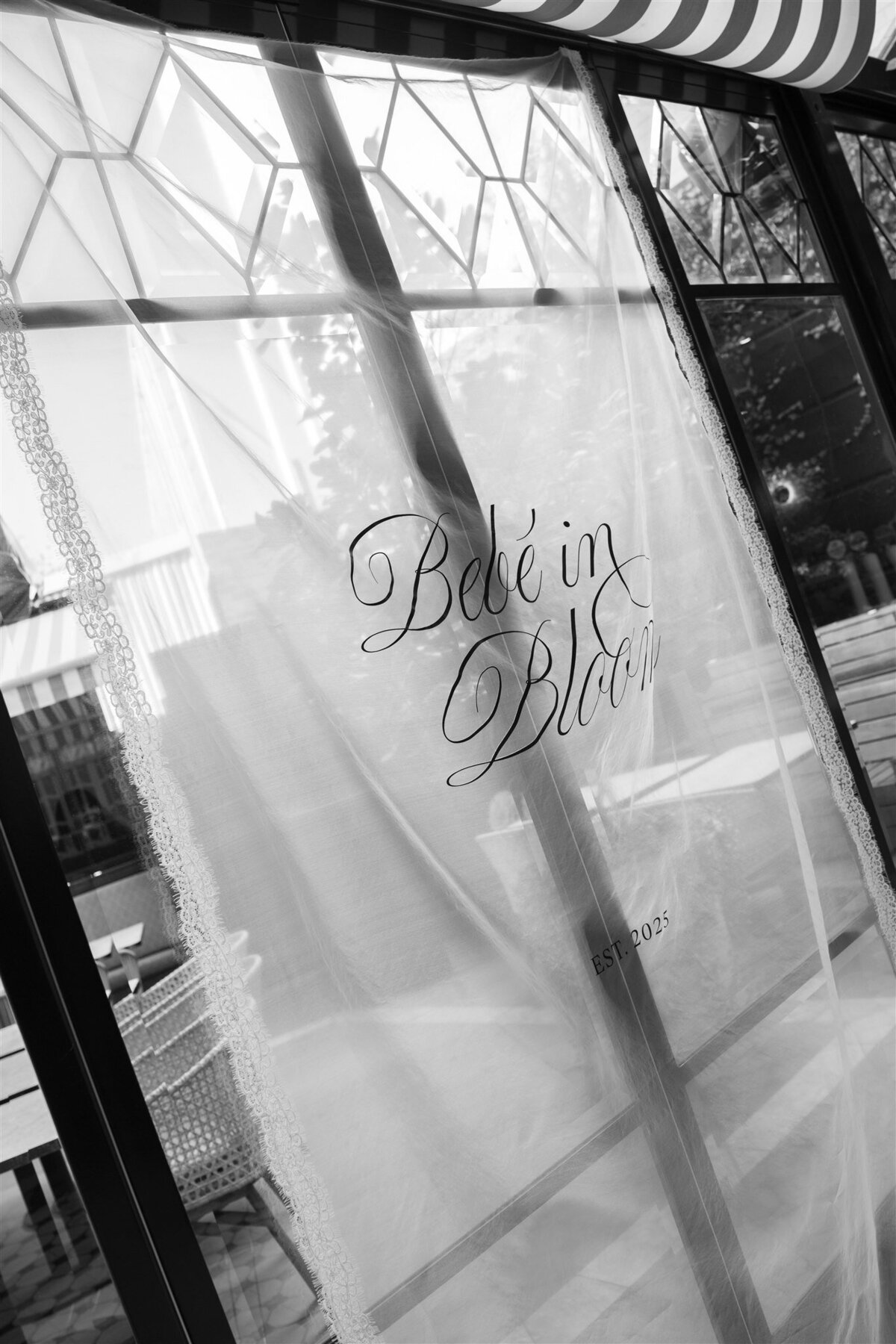 Maegan-Brown-Moments_20250705_Dee-Baby-Shower_Philoxi-Styling_328