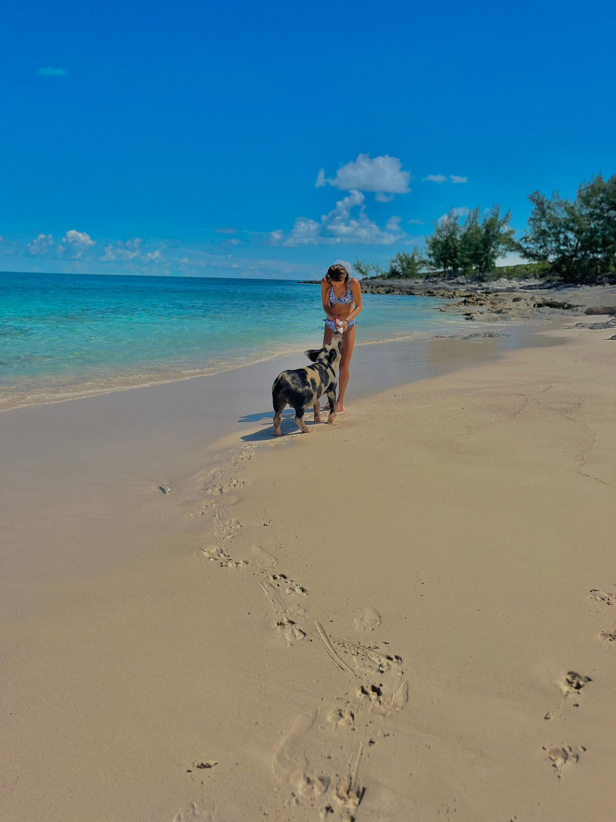 Aqua-Shores-Rose-Island-13