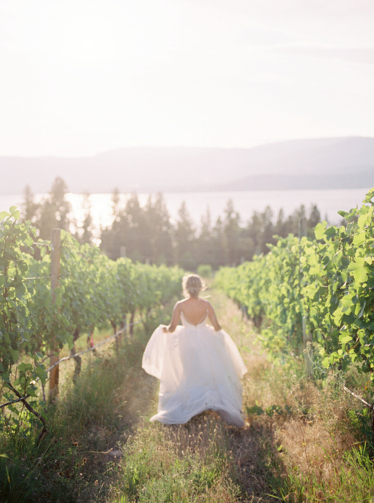 Bride running through rows of trees in wine country captured by Pam Kriangkum Photography, fine art, classic wedding photographer in Edmonton, Alberta. Featured on the Bronte Bride Vendor Guide.