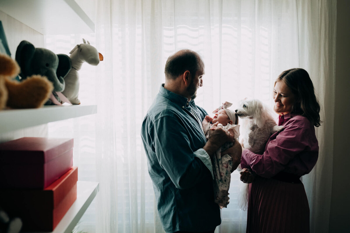 A mother and father hold their newborn daughter and their dog together in front of a bright window, the dog is giving the baby girl a kiss