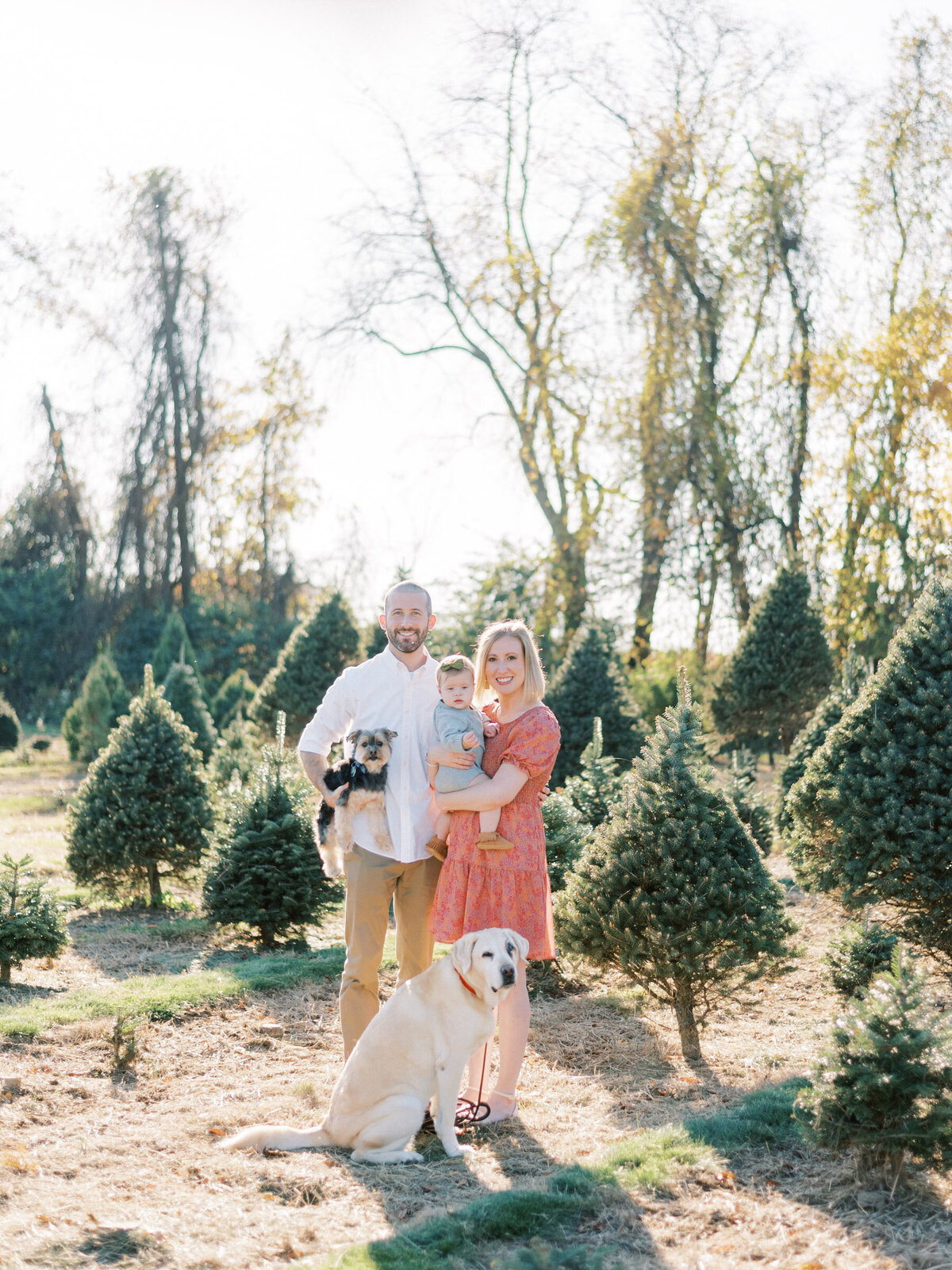 Ann Arbor Family Mini Sessions | Amarachi Ikeji Photography 13