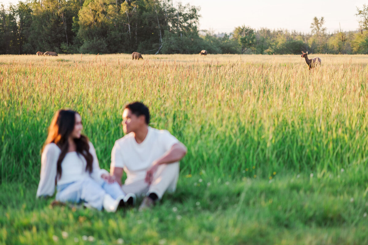 Elk-Fields-Northbend-WA-Engagement-Photo-63
