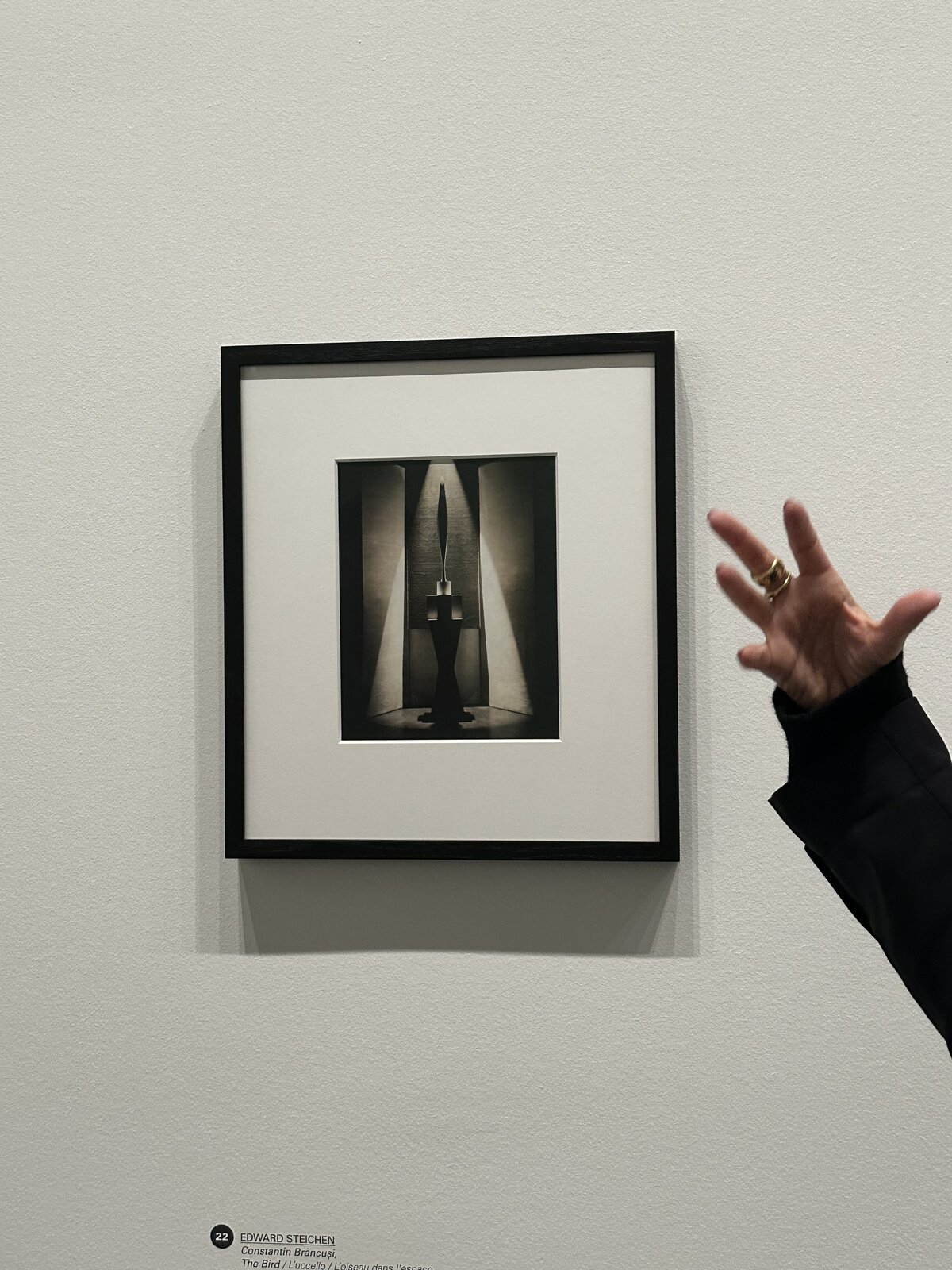 Art Escape In Venice (26)