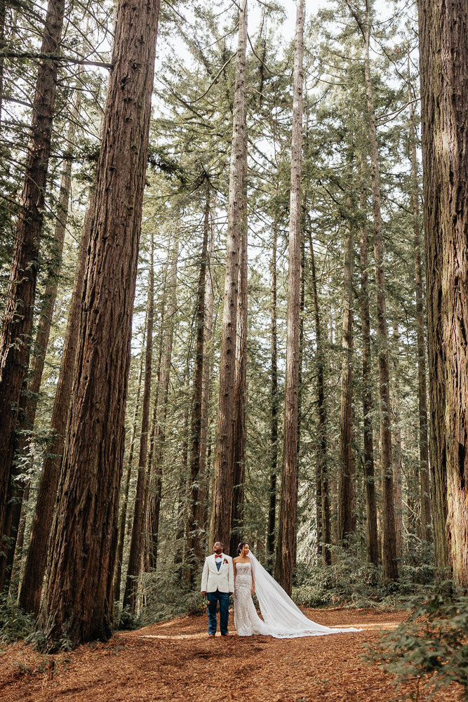 Reinhardt Redwood Regional Park Wedding - Emma Persi Photography-26