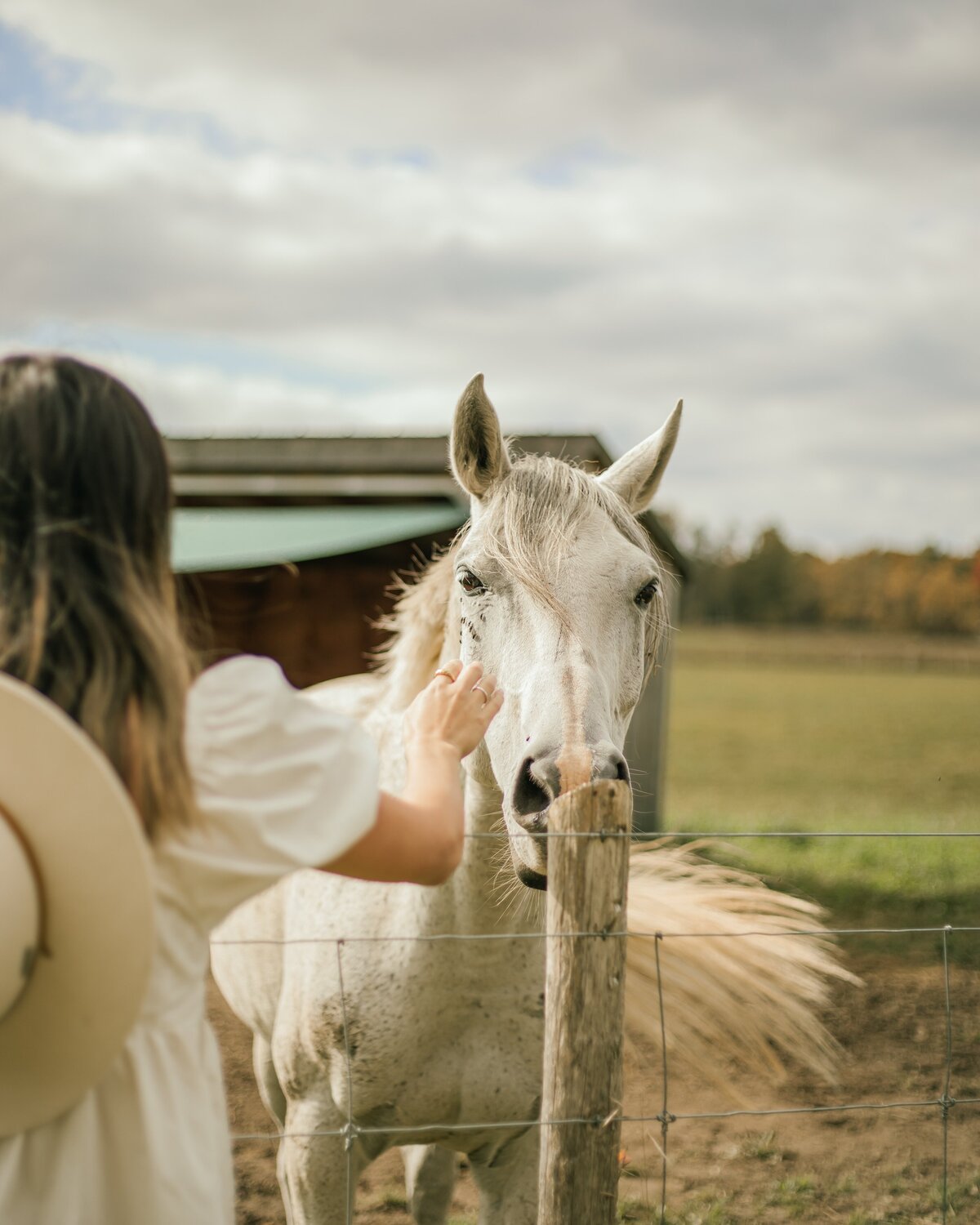 jasmin-chew-Hiyy9naB8OA-unsplash