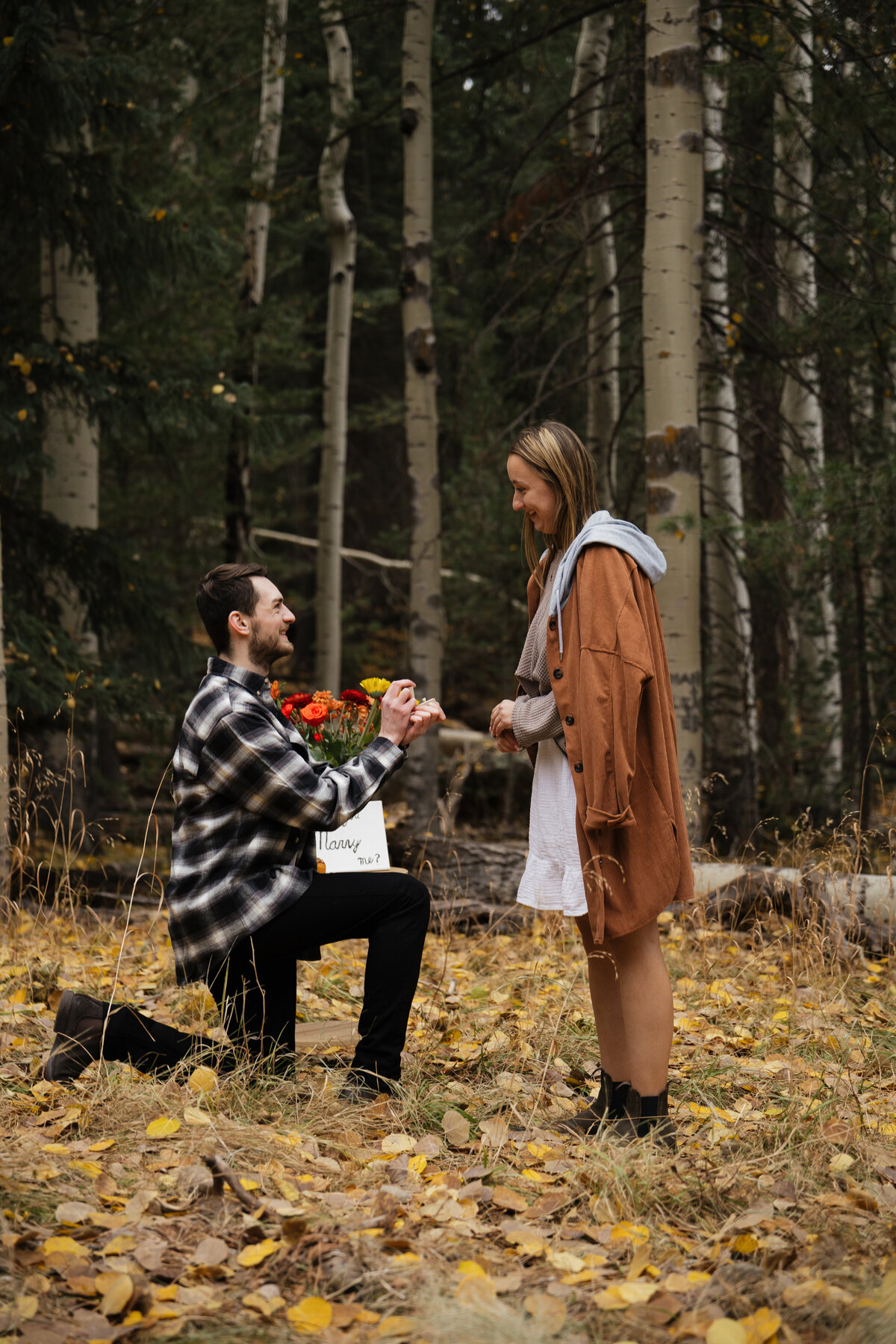 plishkaproposal-014