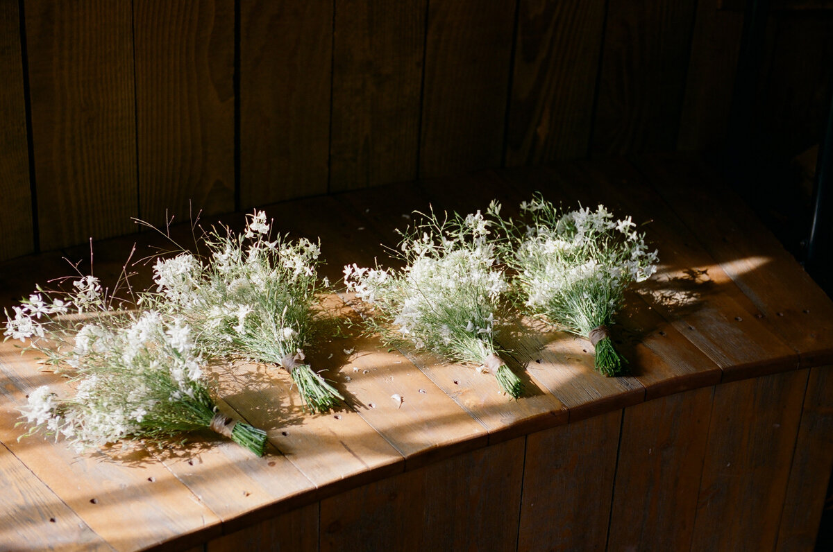 Blue Sky Auberge Wedding-42