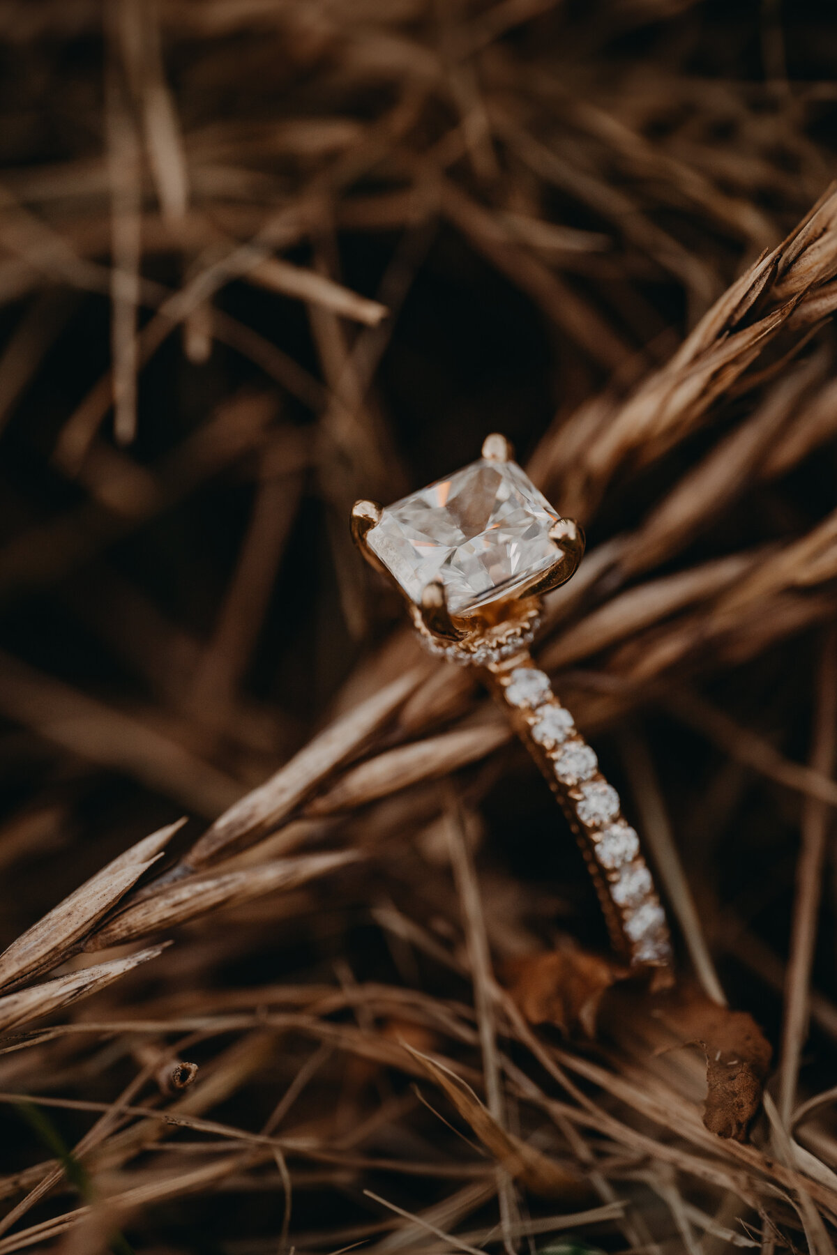 LAUREN+CALVIN-84