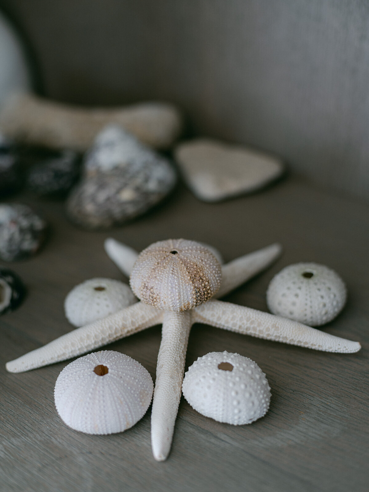 St Barth Wedding Toiny (32 sur 214)