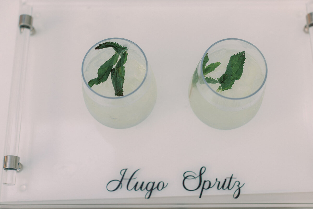 candaengagementparty-310_websize