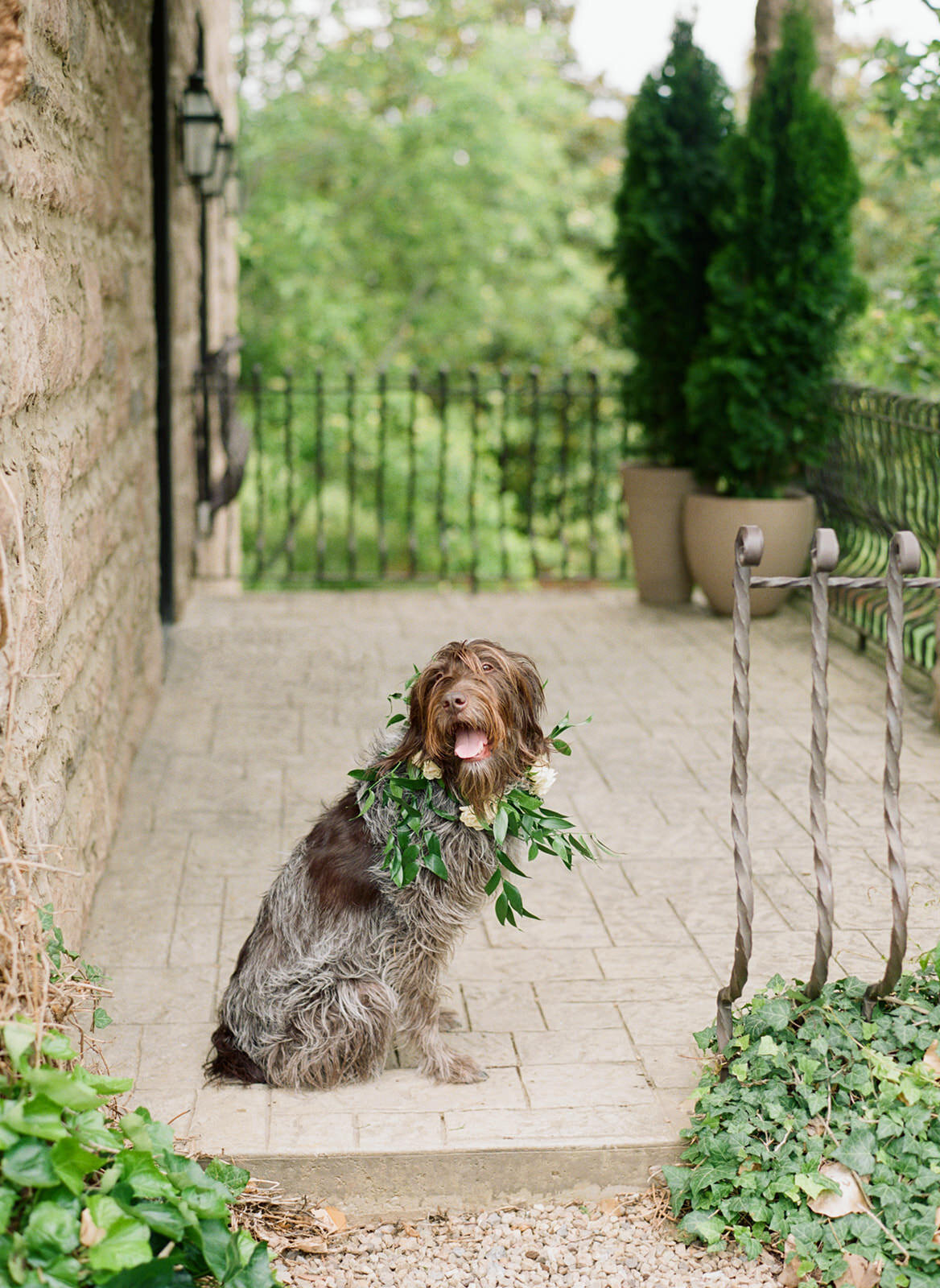 CHARLESTON-SC-wedding-photographer063