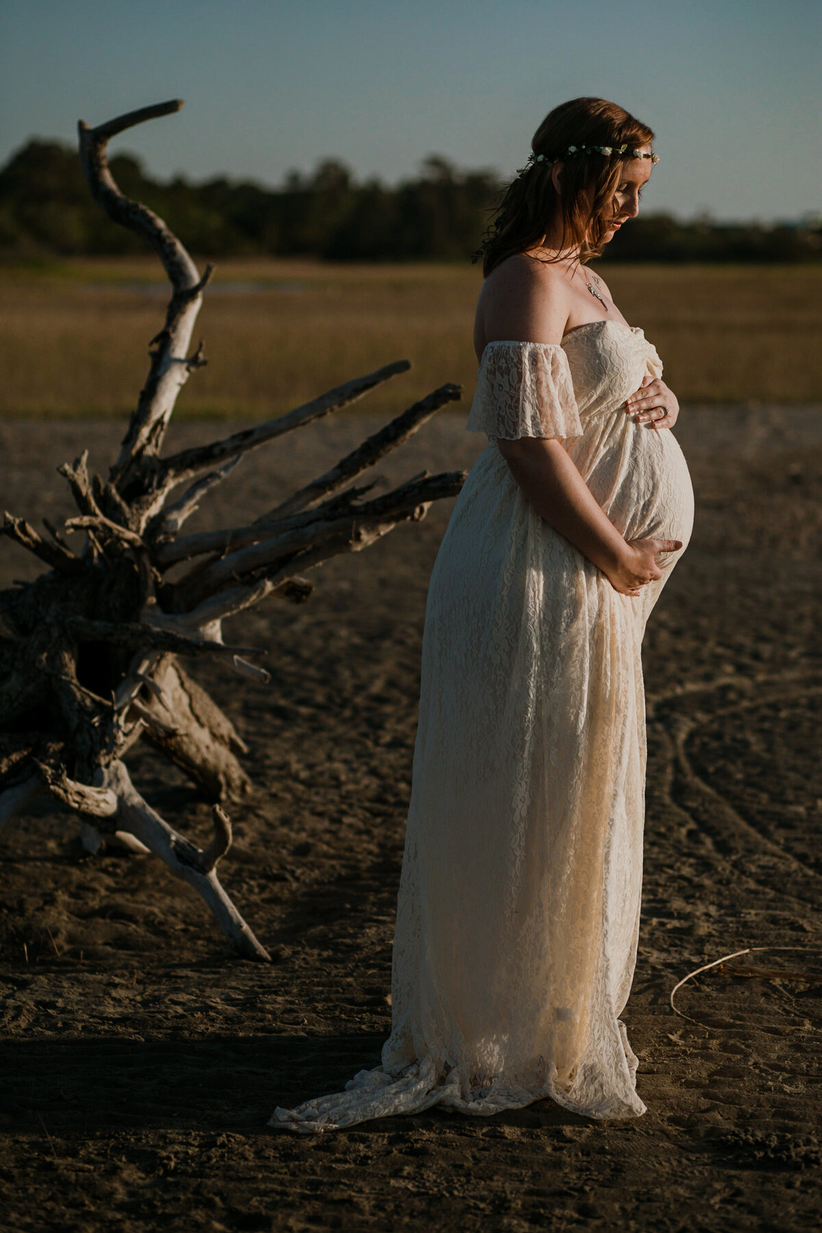 charleston photographers
