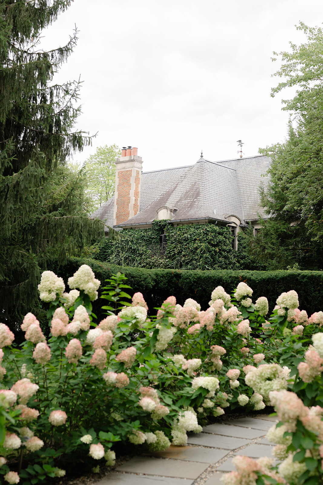 DSC_3485_websize