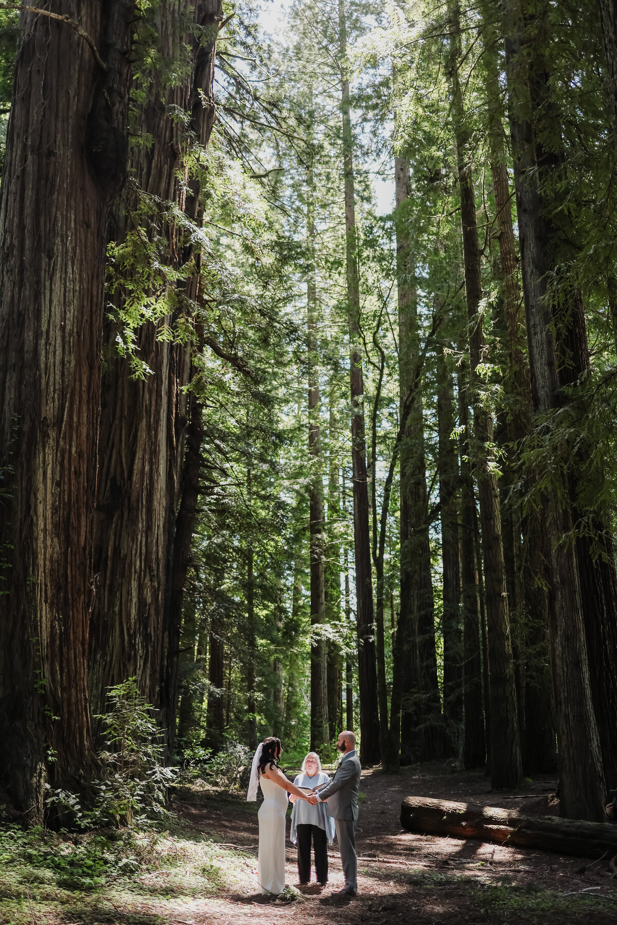 Redwood Forest Elopement_California_Megan Maundrell Photography Inc (2 of 32)