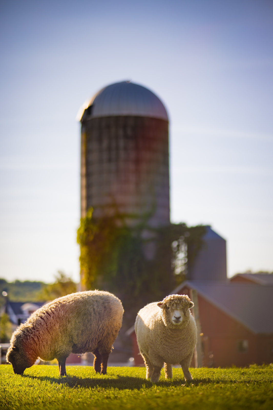 Gilbertsville Farmhouse Luxury Farm Estate Wedding