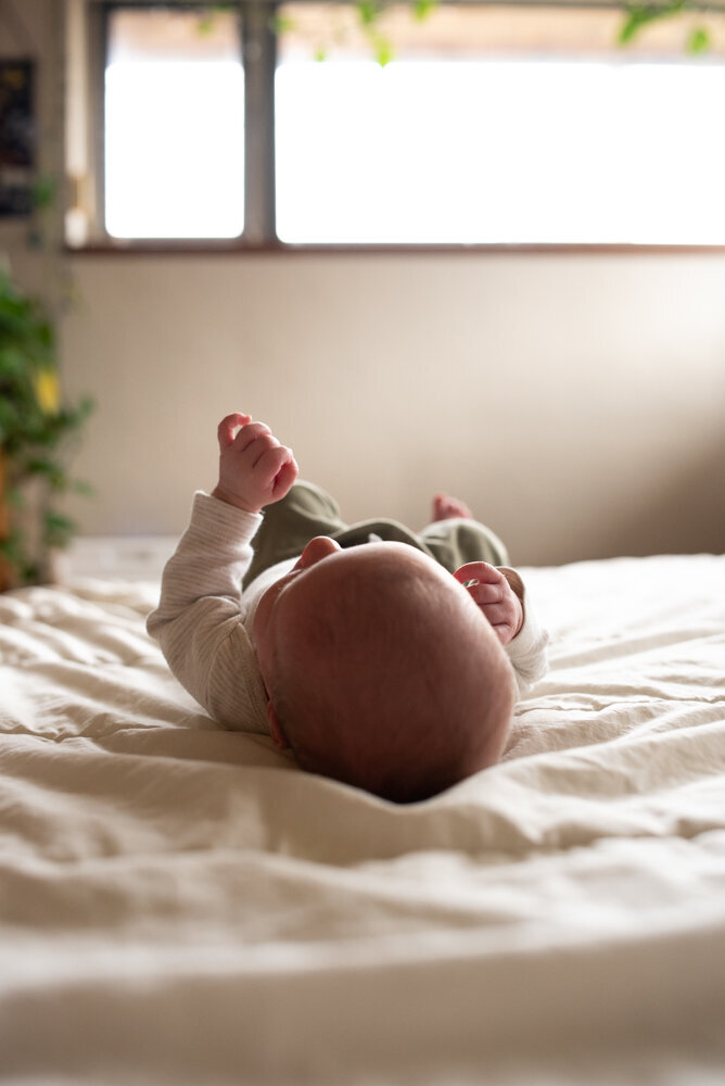 Newborn bed prop free lifestyle photography