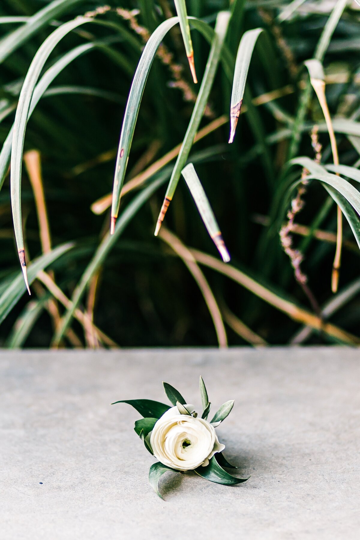 AbieLivesayPhotography-PalmSpringsWeddingPhotographer-KristenPhil-144