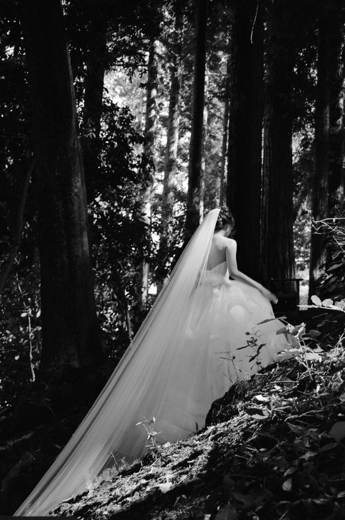 Yena_Rewon_Wedding_Mo_Davis_Photography 241715