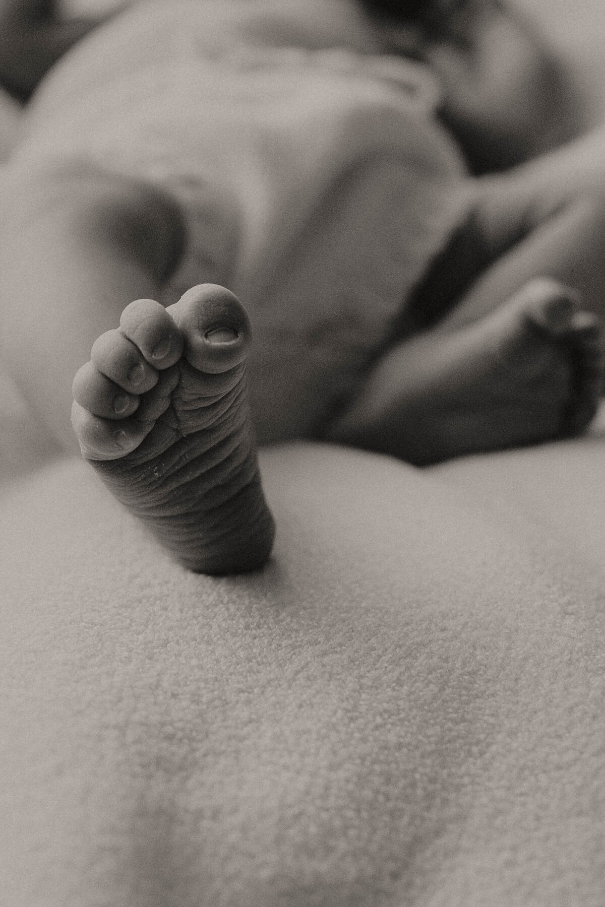 MILLIE_NEWBORN-2396