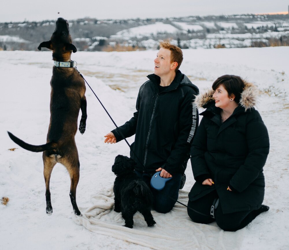A man and a woman kneel on the snowy ground to play with their two dogs