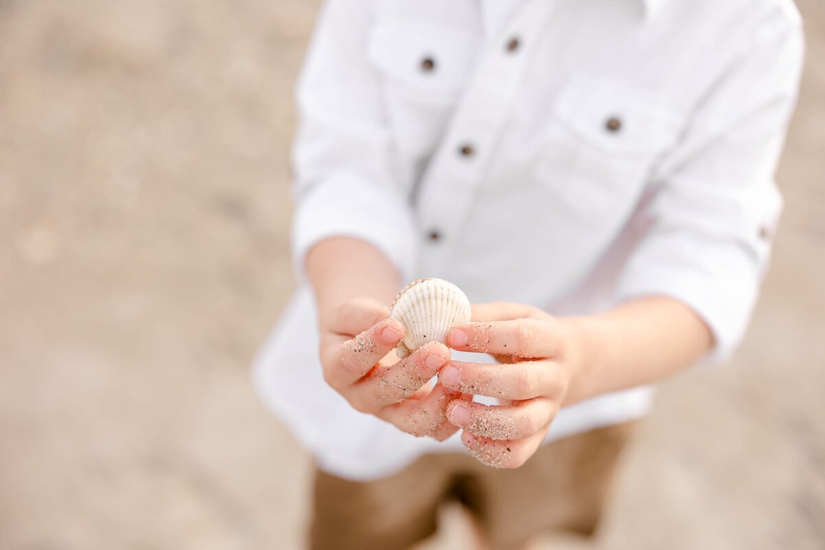 Close up of boy holding seashell