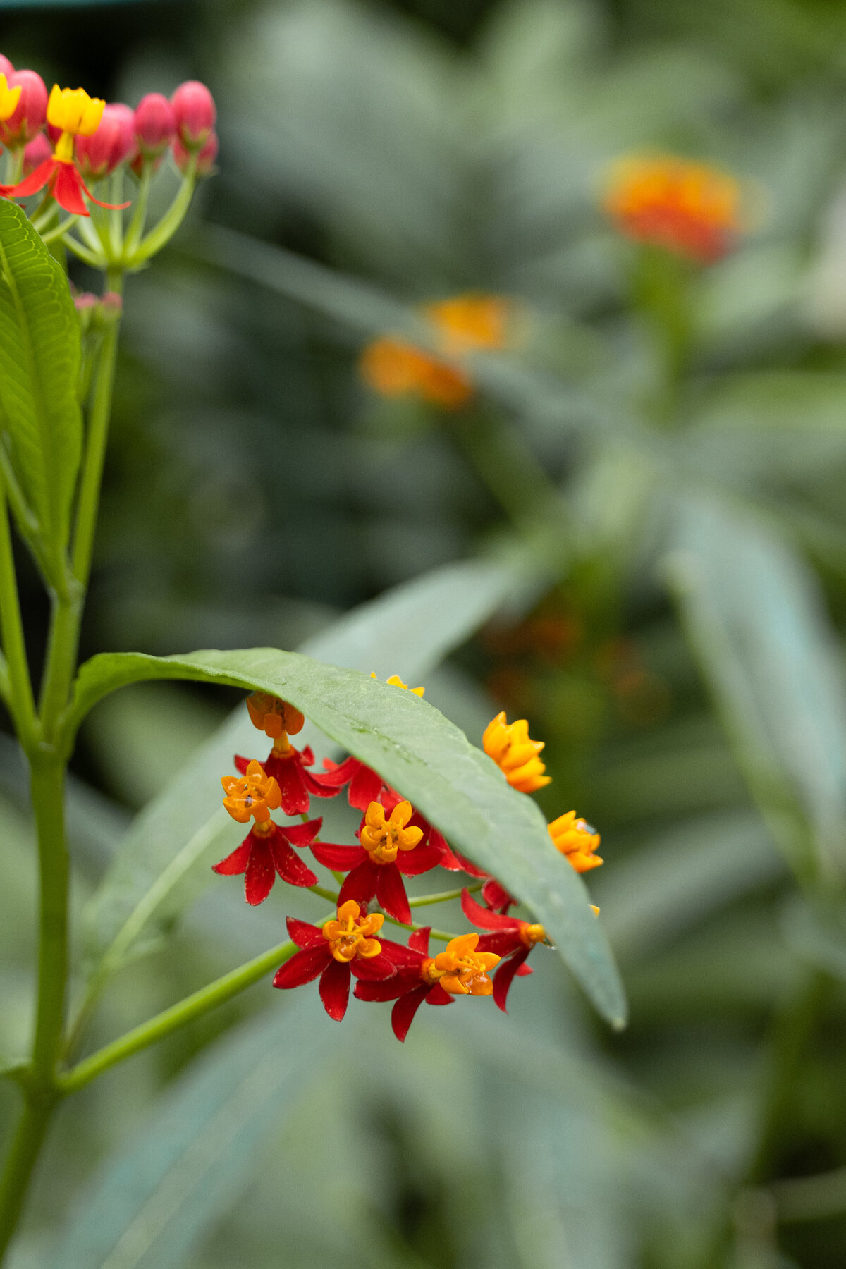 2023.07.25-27_SbE_Milwaukee_004