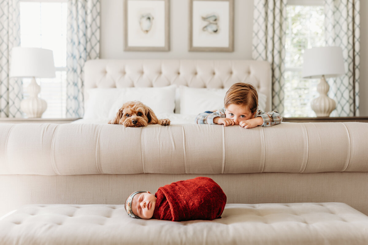 toddler boy and dog peering over bed at baby swaddled on bench by harrisburg pa newborn photographer