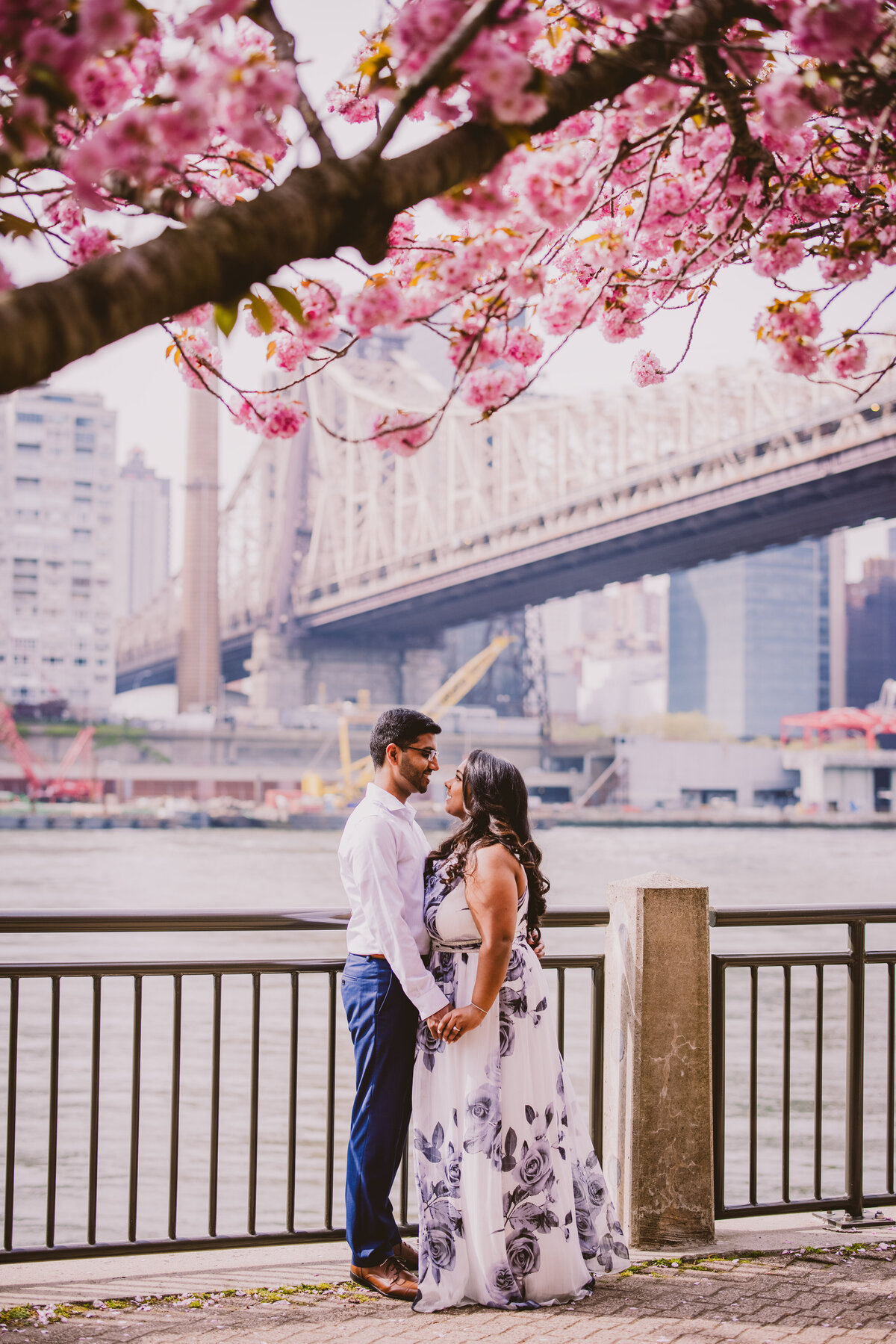 An engaged couple look at each other under a cherry blossom tree at roosevelt island nyc