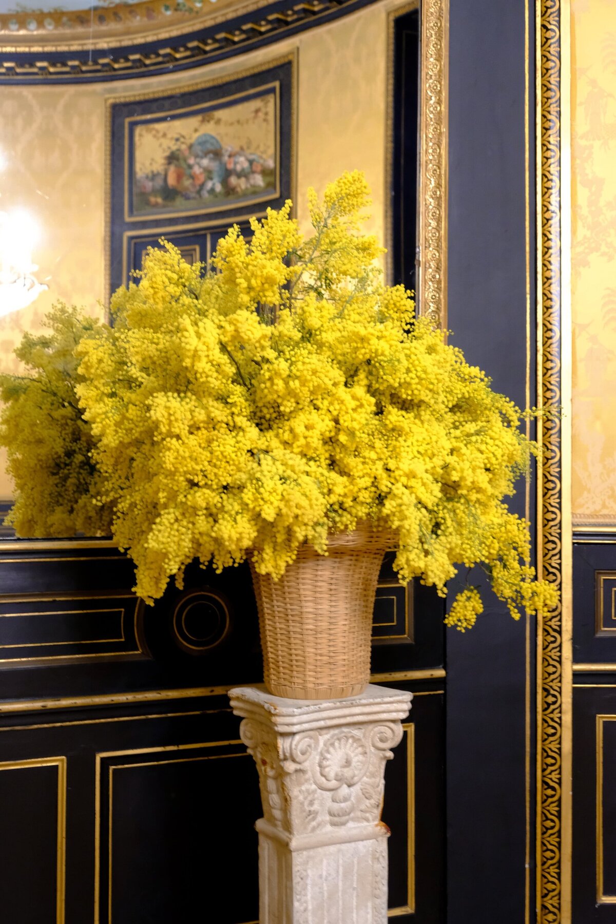 Hotel d'Evreux-florist-mimosa4