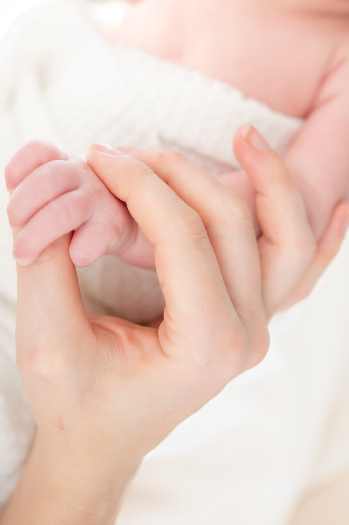 Holly Springs Newborn Photographer