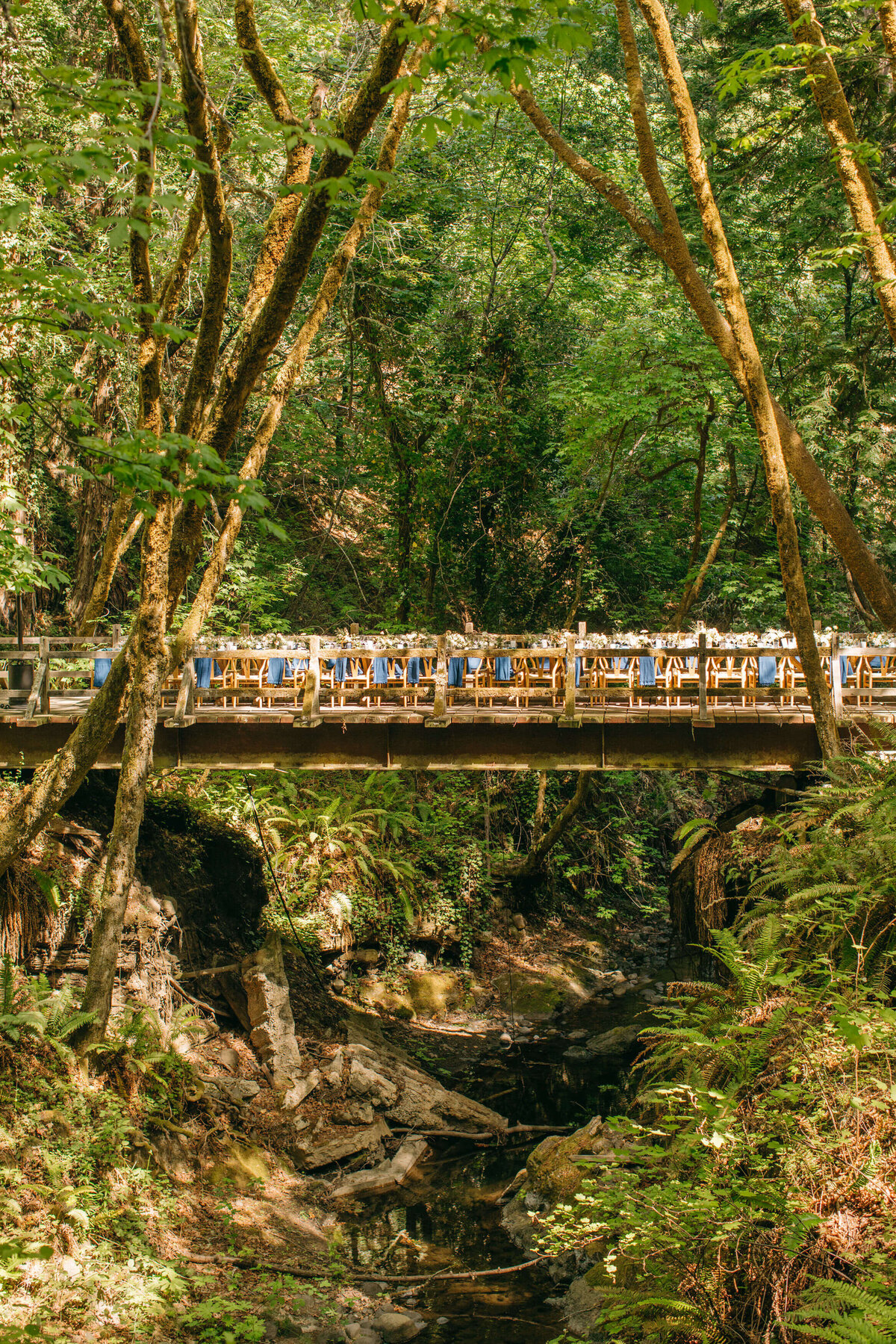 forest bridge wedding dinner