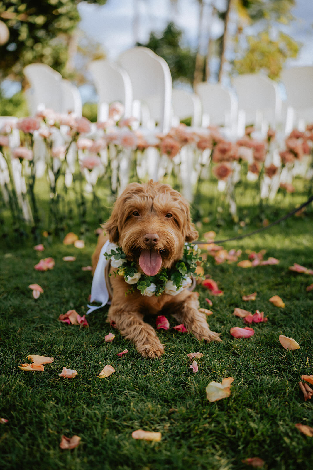 Hawaii-Wedding-Photographer-00707