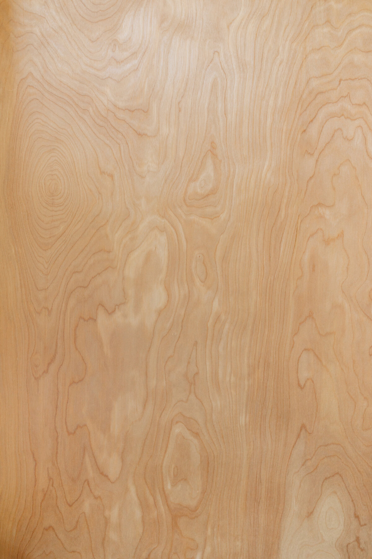 KOCINSKI-MCM-GUEST-BATH-RENO-DIGITAL--6