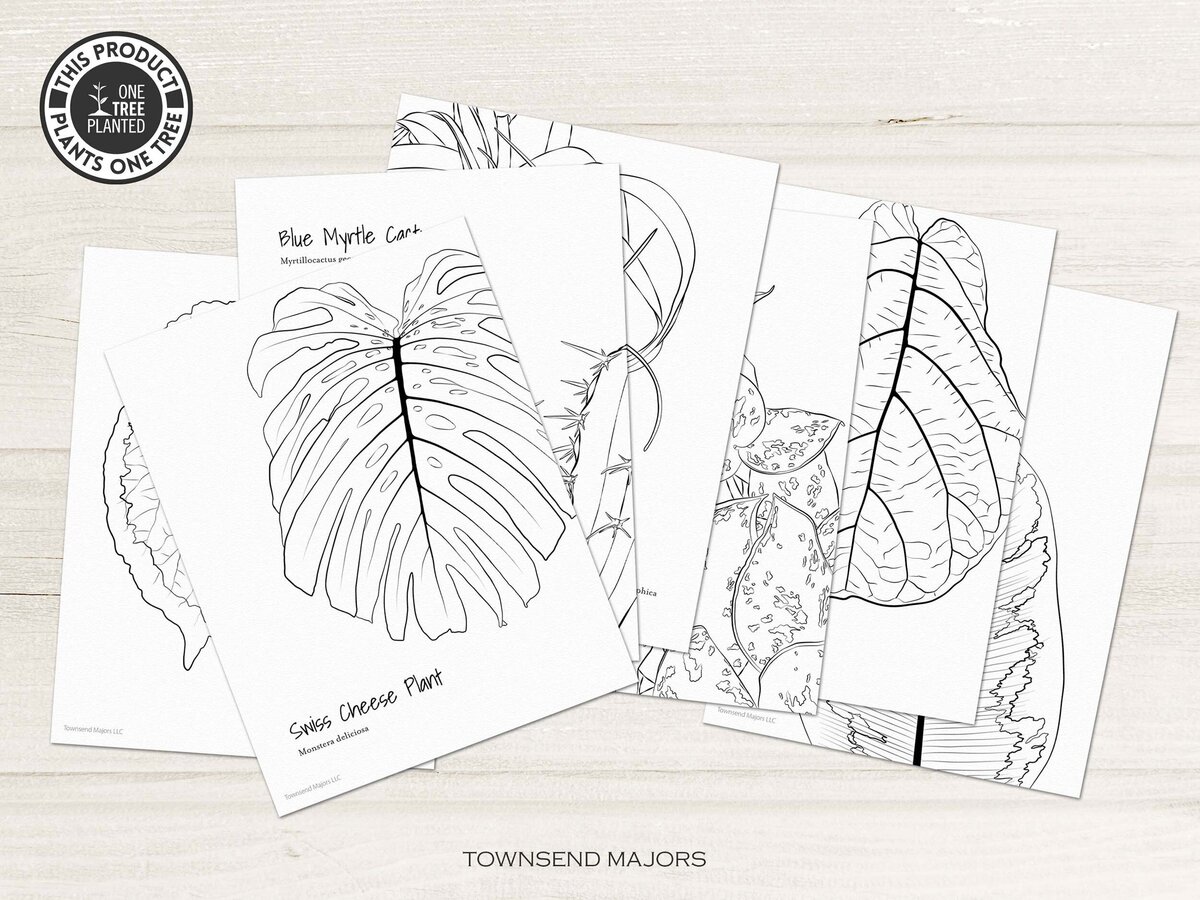 townsend-majors-houseplants-coloring-page-1