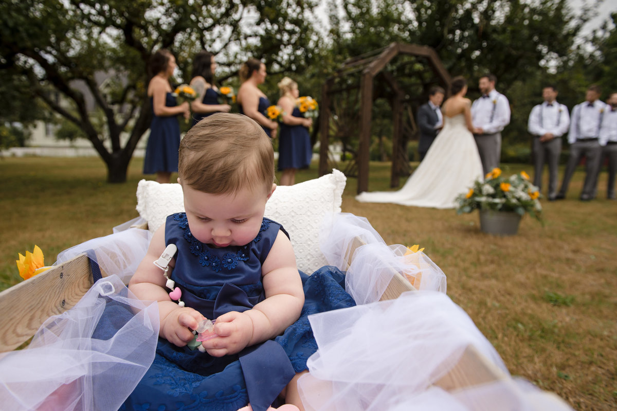 Bellingham Wedding Photographers 101