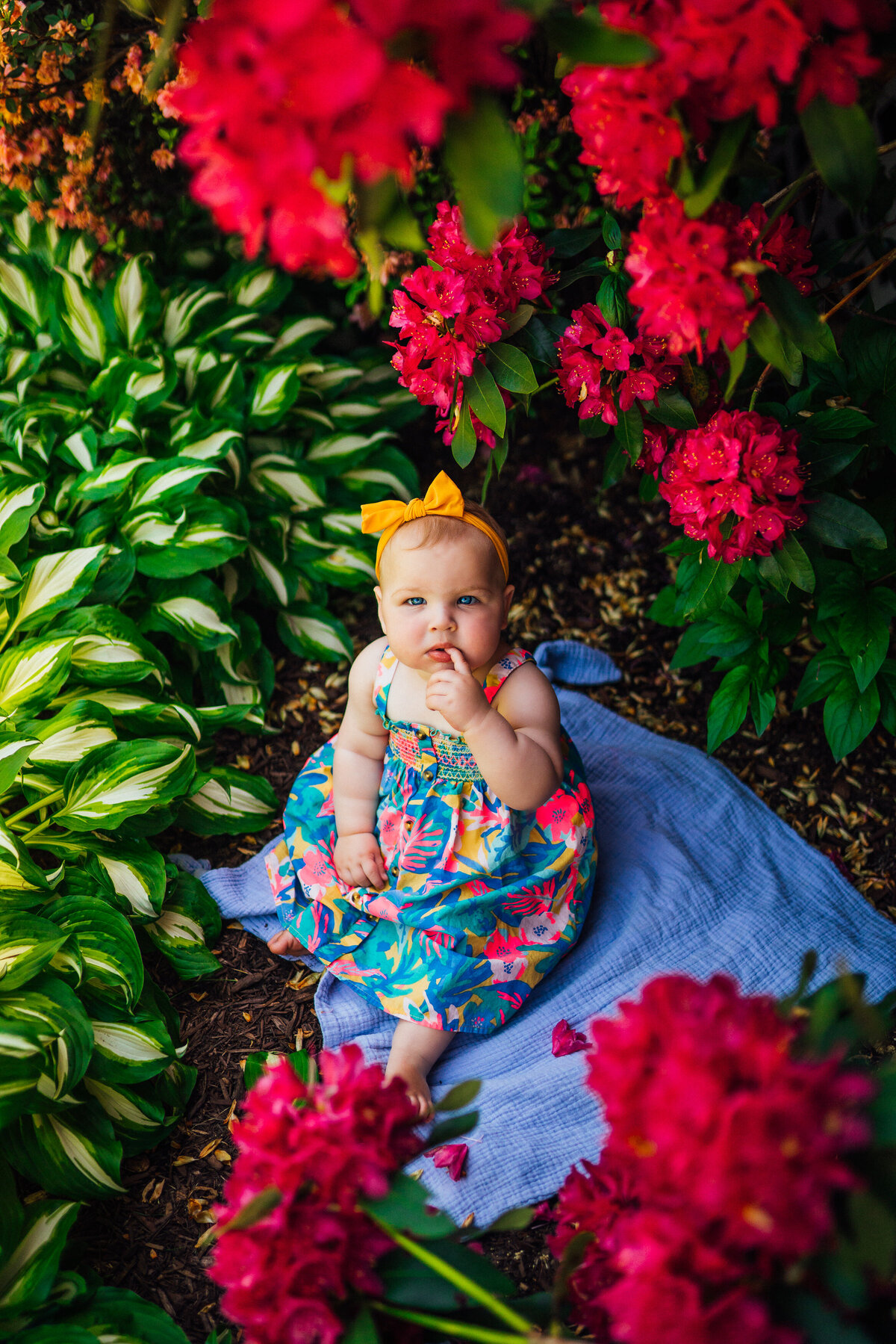 Pittsburhgh Newborn Photographer-