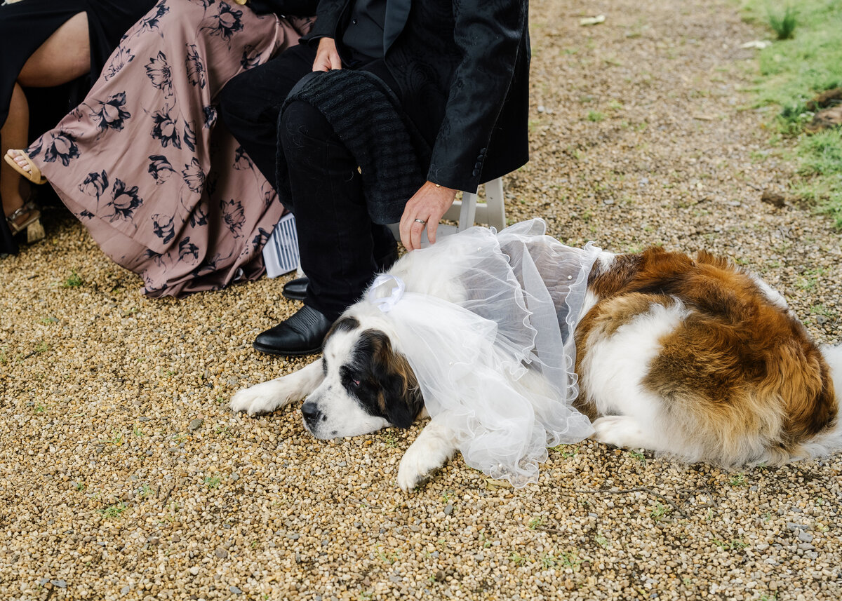 OliviaNoah_WeddingPreview084