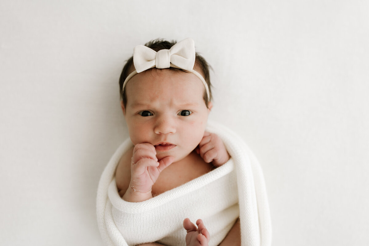 Morgan Family October 2025_Rose and Oak Photography-108