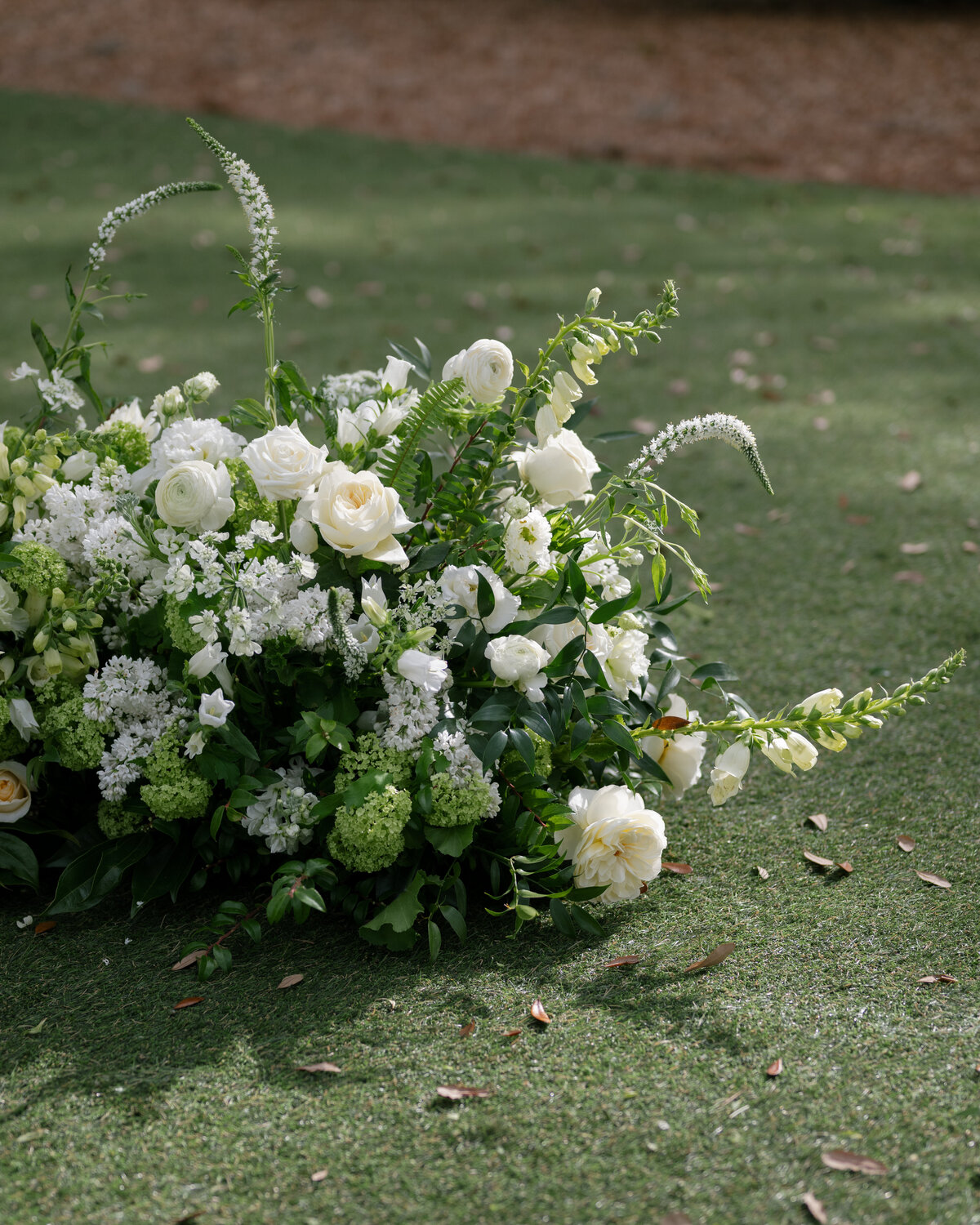 Will Buck Photography Charleston Wedding Photographer-2962