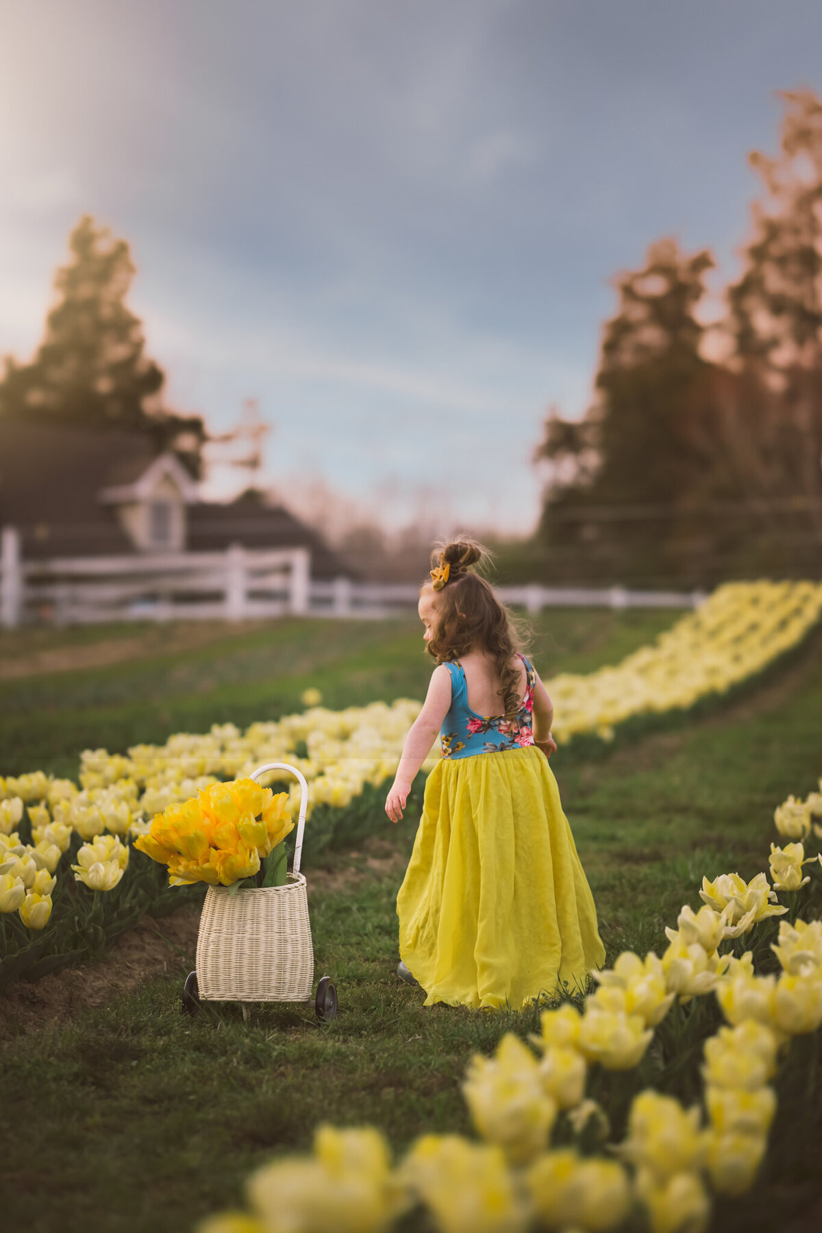 Raleigh-family-photographer-837