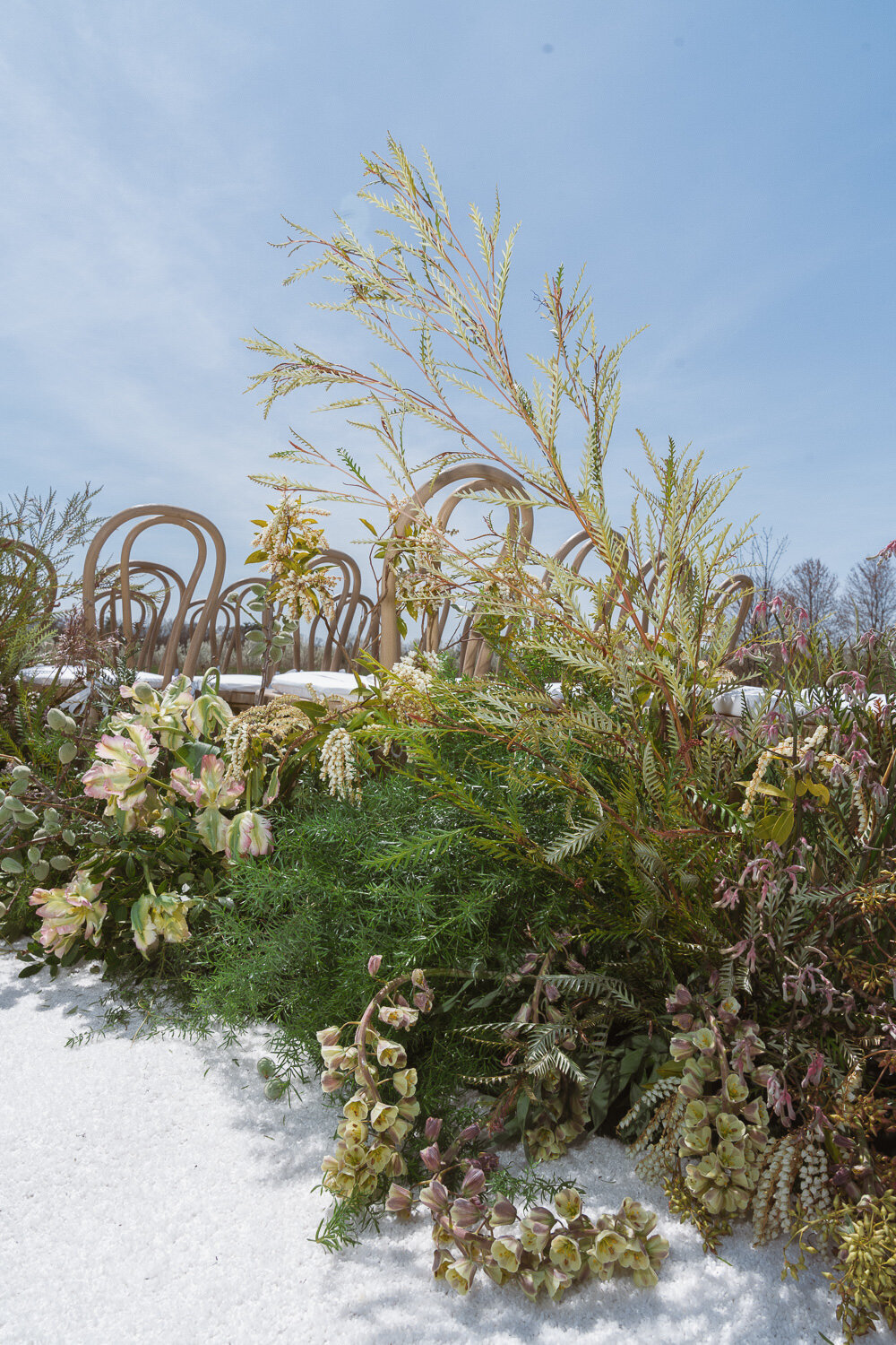 wildflower-web--110
