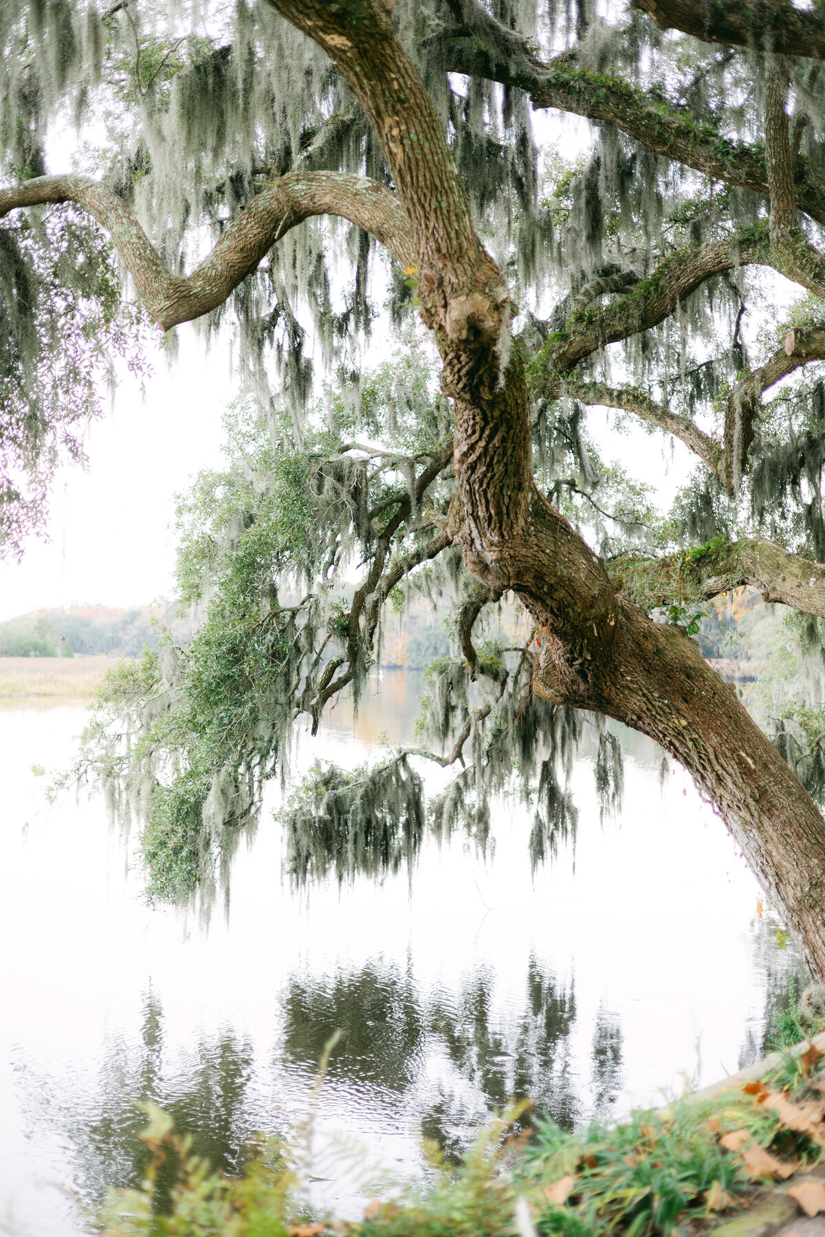 Katherine Horton Photography Sarah & Trey's Wedding Day Bride & Groom Portraits Color 151
