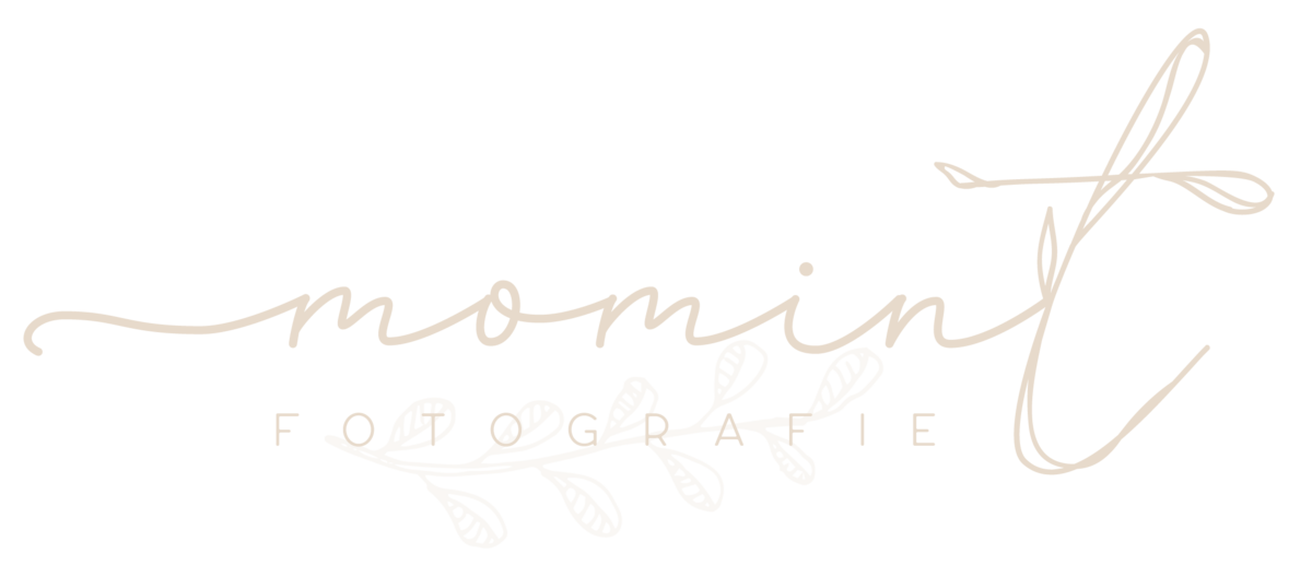 Momint_Logo-02