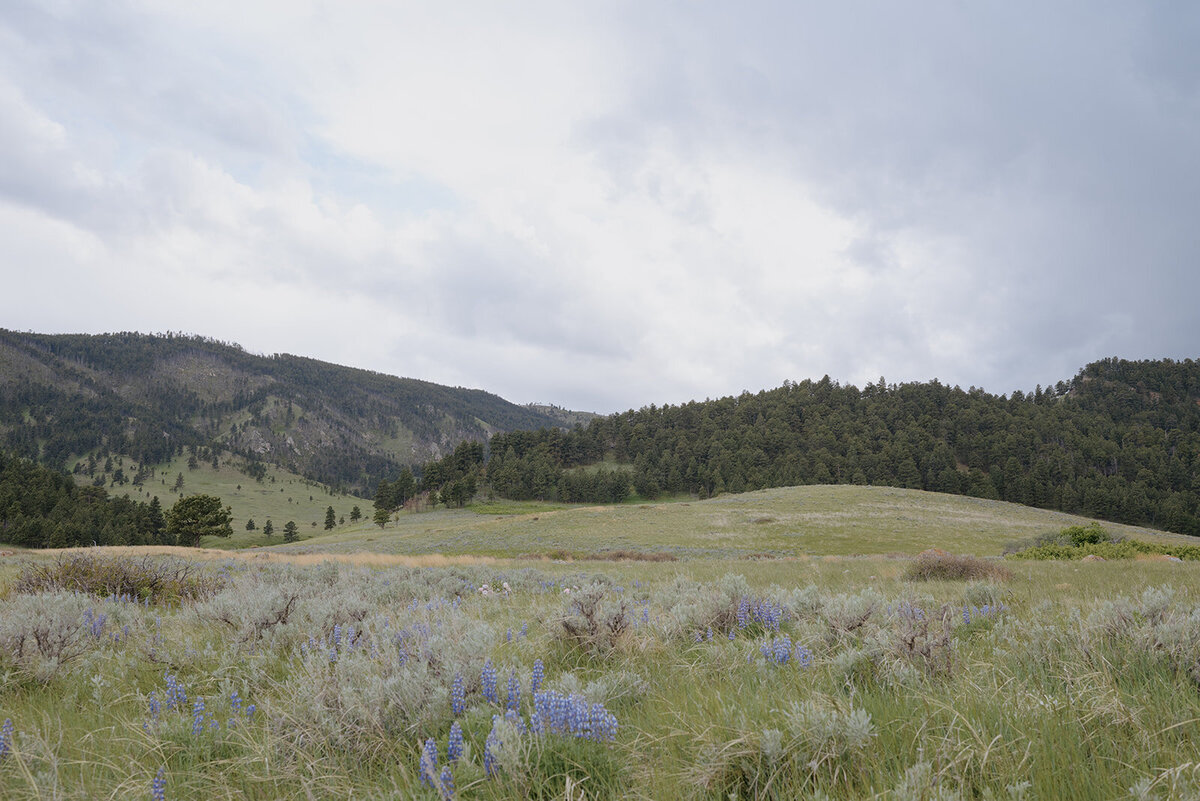 Carly-Patrick-Sheridan-Wyoming-Elopement-007