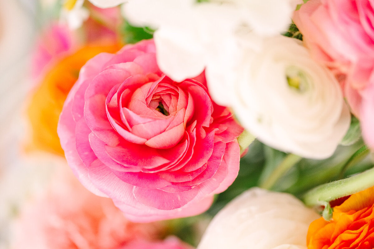 Sharelle-Knight-Photography-Bridal-Details-11