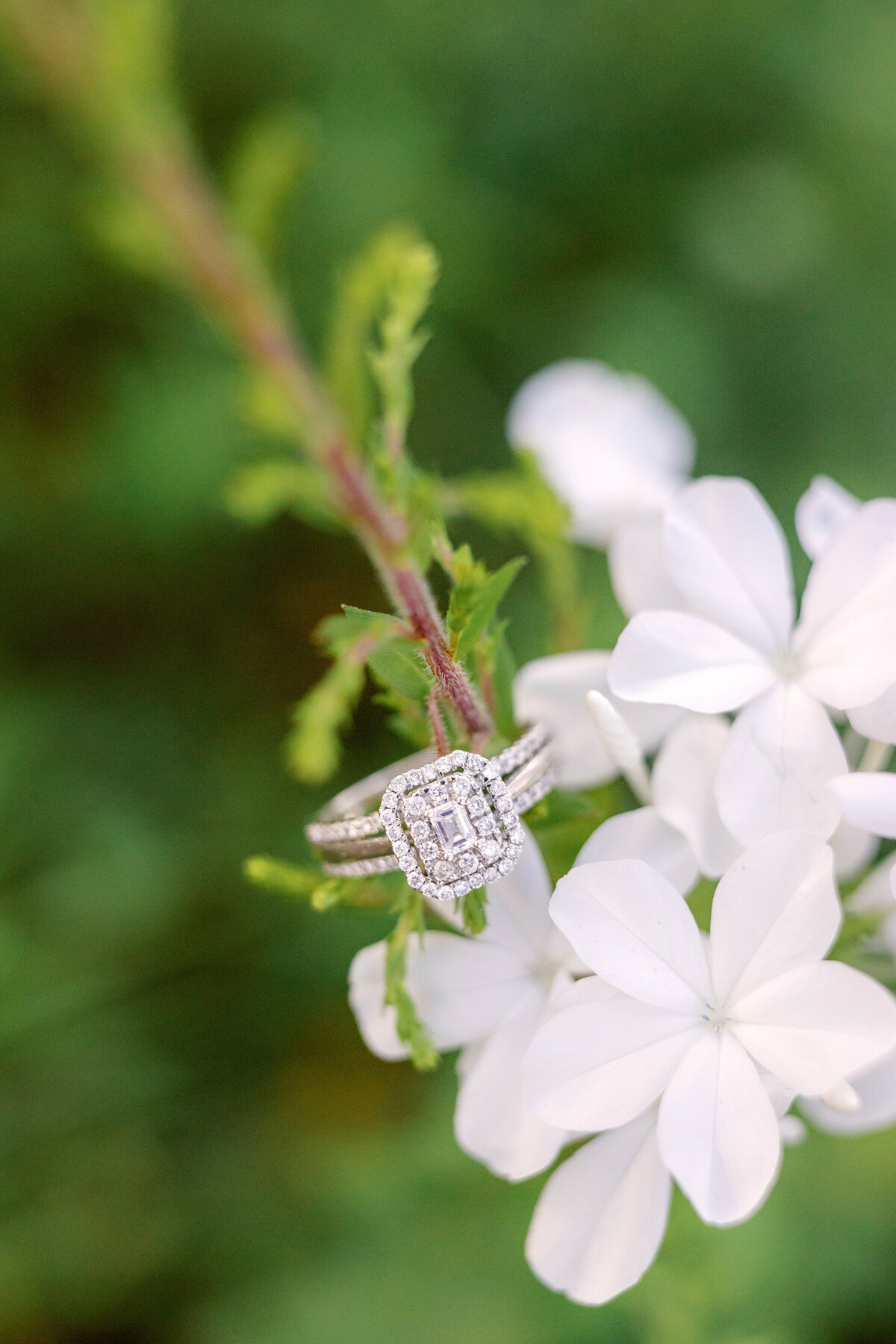 Matthew & Hannah-Engagement-Owl & Moon Venue-64